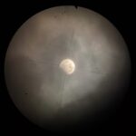Лунное затмение в астрономической обсерватории ТГУ